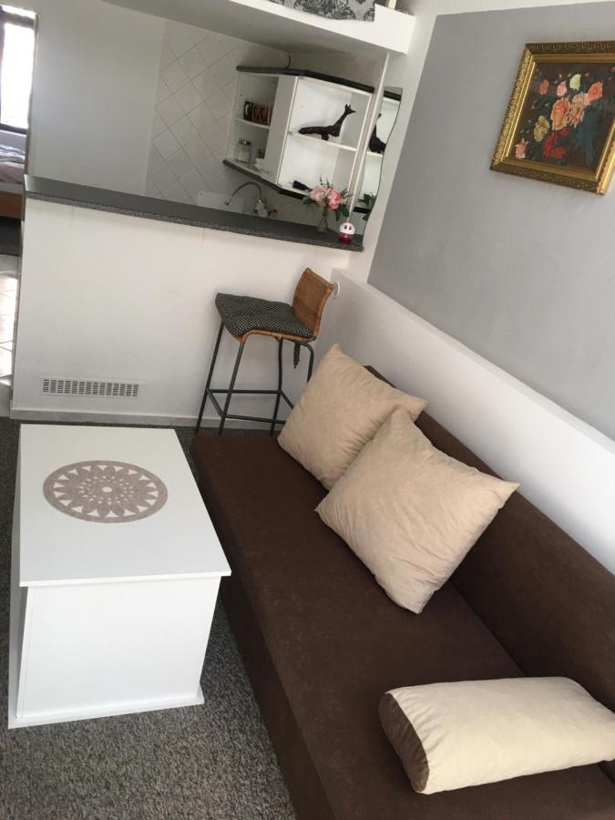 Prague Zizkov 1St公寓 外观 照片